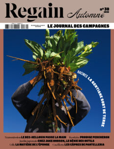 Regain n°30
