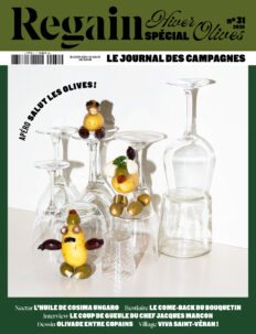 Regain n°31